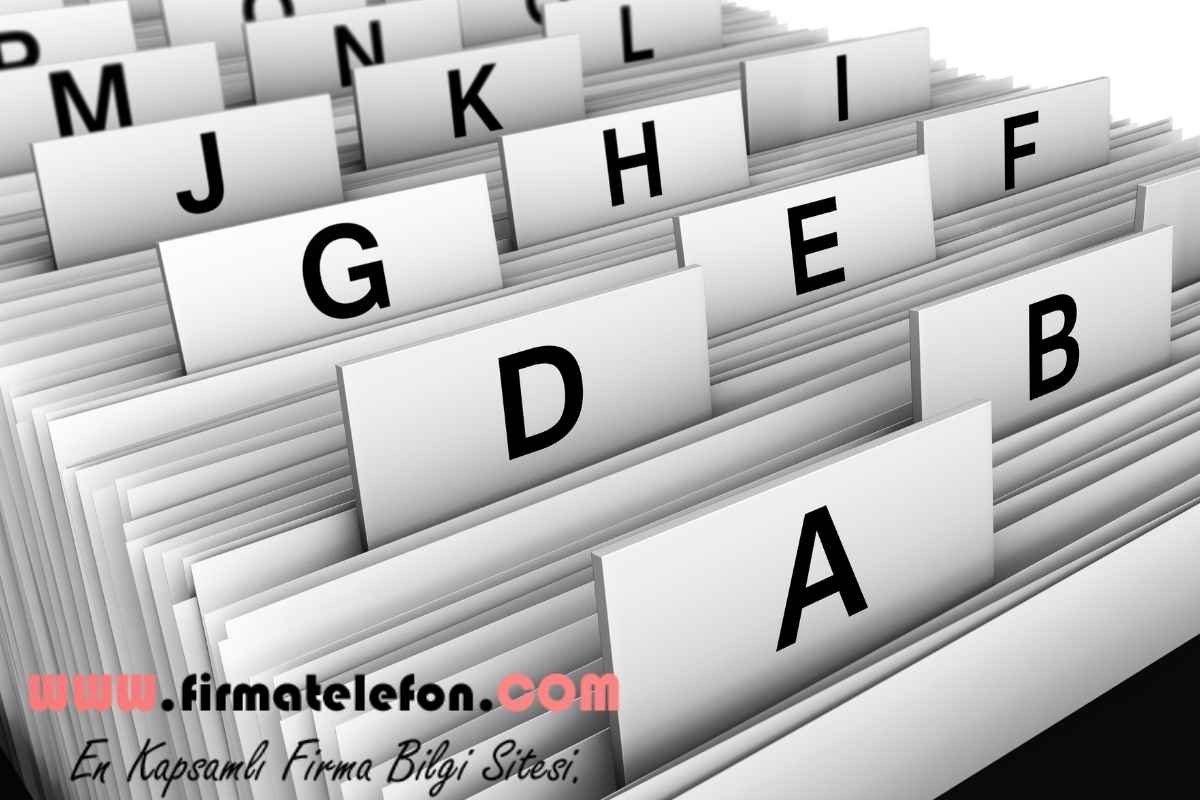 Yerköy Web Tasarım